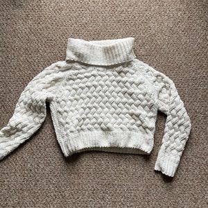 Cropped Turtleneck Sweater